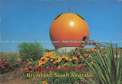D293385 South Australia. Riverland. The Big Orange. Murray Views