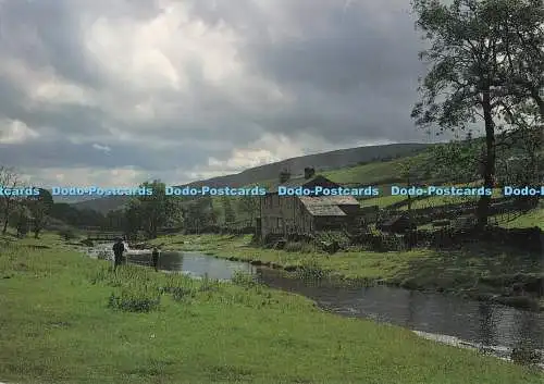 D298496 Langstrothdale. New House Farm. Dalescapes. David Green