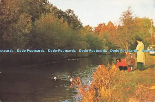 D295595 Old Basing. Der Fluss Loddon