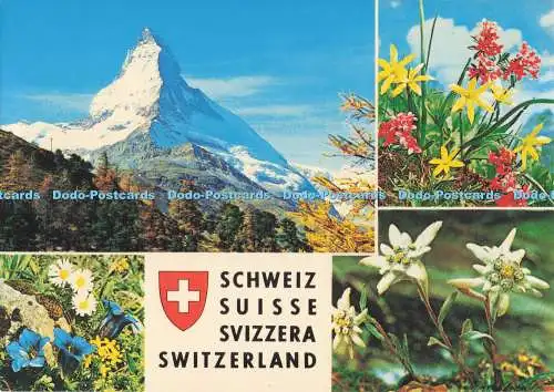 D295599 Schweiz. Rowesa. Zürich. Multi View
