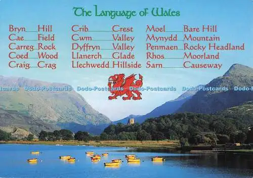 D298510 Die Sprache von Wales. Blick auf den See. Berge. Boote. Richter von Has