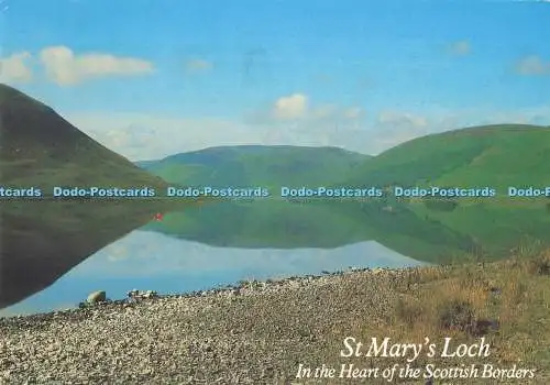 D295609 St. Mary Loch. Im Herzen der schottischen Grenzen. Whiteholme. Dundee.