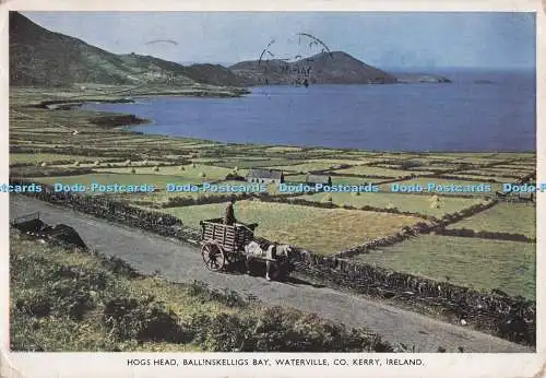 D298517 Irland. Co. Kerry. Waterville. Ballinskelligs Bay. Schweinekopf. P.C. Col