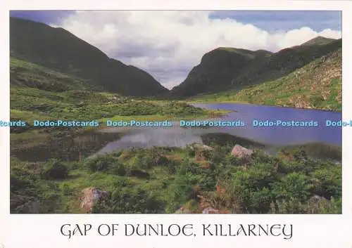 D295617 Killarney. Lücke von Dunloe. John Hinde. Peter O Toole