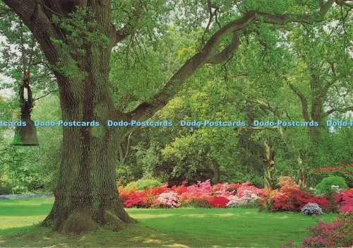 D298523 Hampshire. Exbury Gardens. Die burmesische Tempelglocke. John Hinde Ltd. Neil