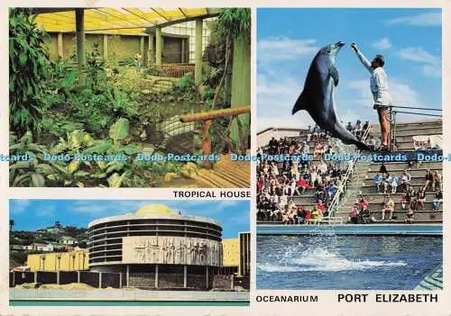 D298557 Port Elizabeth. Ozeanarium. Tropenhaus. Protea Colour Prints Pty Ltd