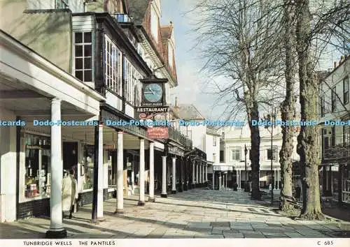 D293447 Tunbridge Wells. Die Pantiles. Richter. C. 685
