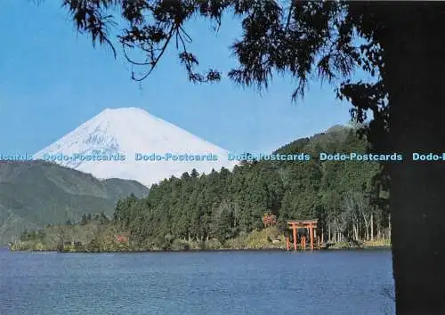 D293460 Japan. Mt. Fuji vom Ashi-See. Fukuda Karte