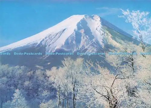 D293464 Japan. Winterschönheit. Fukuda Karte