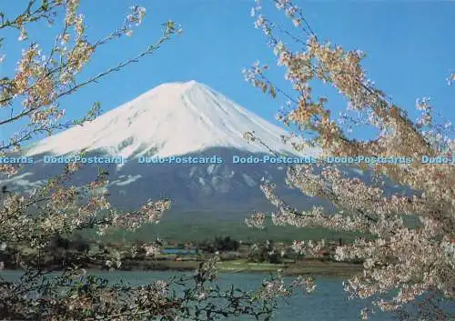 D293467 Japan. Frühling am Lake Kawaguchi. Fukuda Karte