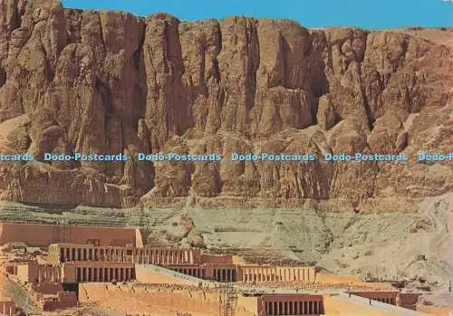 D295743 Theben. Deir El Bahari. Hatschepsut Tempel. Al Ahram. Dino Sassi
