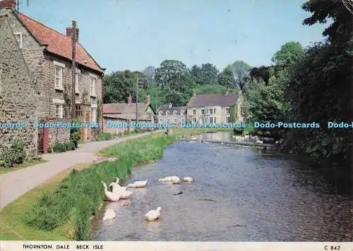 D298659 Beck Isle. Thornton Dale. Judges Limited. C 842. Hastings. 1983