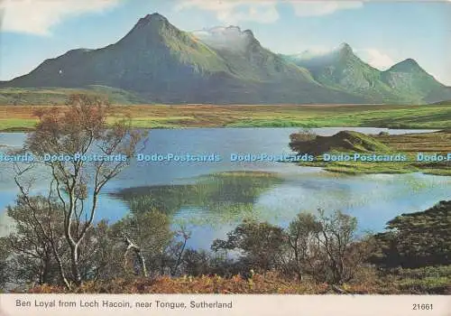 D298663 Sutherland. Ben Loyal von Loch Hacoin. in der Nähe der Zunge. Whiteholme ltd. Hai