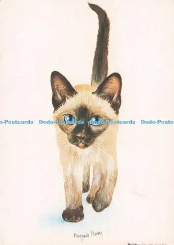 D295769 Seal Point siamesisches Kätzchen. Margaret Merry. Truro. Dowrick Design und Pri