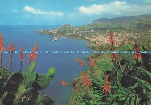 D295770 Funchal. Madeira. Western View. Hans Huber. F. Ribeiro