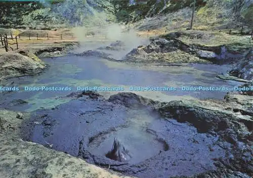 D298702 Schwefelmine Pozzuoli. Hauptmund. Castaldi. Solfatara. Multigraf T