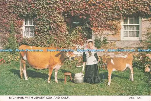D295797 Milchmädchen mit Jersey-Kuh und Kalb. A. C. Gallie. David A. Fry