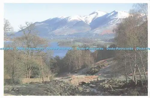 D295823 Ashness Bridge. Frank Peters Farbdrucker. Mikeye Karten