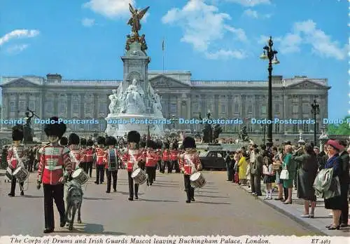 D298747 London. Das Corps of Drums and Irish Guards Maskottchen verlässt Buckingham Pa