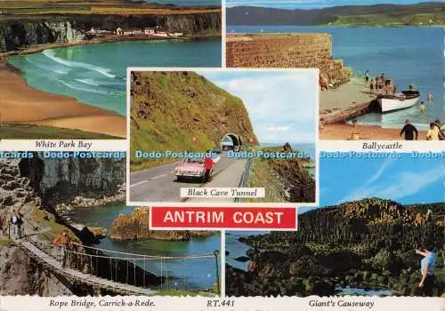 D298753 Antrim Coast. Giant Causeway. Seilbrücke. Carrick a Rede. White Park Ba