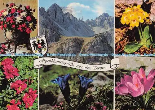 D298760 Alpenblumengrusse aus den Bergen. Krokus. Enzian. Platenigl. Alpenrosen.