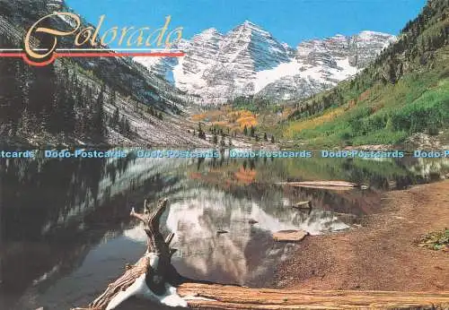 D295860 Colorado. Weinrote Glocken. In der Nähe von Aspen Colorado. Sanborn. Kina