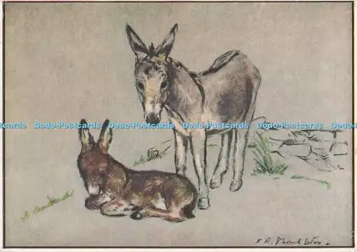 D295893 Proud Parent. The Medici Society. London. Katherine R. Shackleton. PM. B