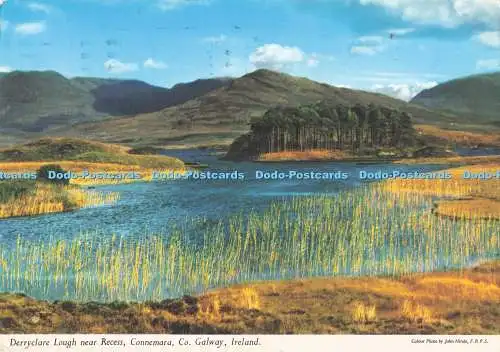 D295897 Irland. Connemara Co. Galway. Derryclare Lough in der Nähe der Vertiefung. John Hinde.