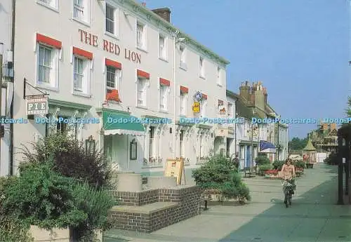 D295907 Hampshire. Basingstoke. London Street. Red Lion Hotel. Richter. C. 7587.