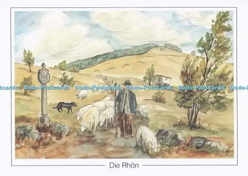 D298910 Die Rhon. Rhonschafer am Arnsberg. Aquarell von Herbert Schneider. H.Sc