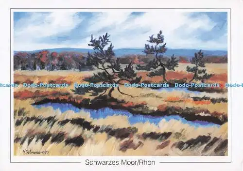 D298913 Schwarzes Moor. Rhon. H. Schneider