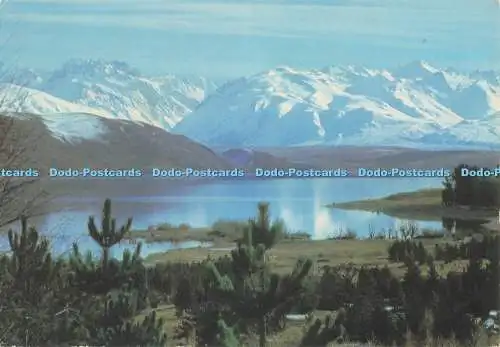 D296010 Lake Tekapo. A. H. und A. W. Reed. Eine neuseeländische Kiwi Postkarte. Lyric St