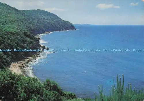 D298947 Follonica. Martina Creek. Multigraf Terni. Kodak Ektachrome
