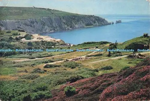 D296039 Isle of Wight. Alaun Bay und die Nadeln. J. Arthur Dixon. Newport. I.W.