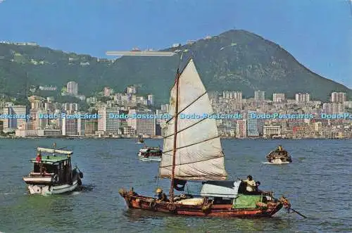 D299069 Ein Panorama von Hong Kong Island. Central District. am Fuße der Erbse