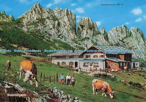 D296231 Steinlingalm. Kampenwand. Ruperti. G. Schuster