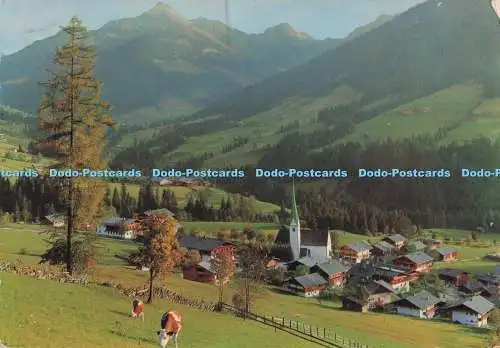 D296241 Alpbach in Tirol. Gegen Galtenberg. Risch Lau