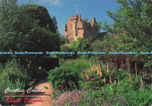 D299203 Royal Deeside. Crathes Castle. Schottland. Whiteholme of Dundee. Gordon He
