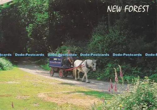 D296312 New Forest. Die Burley Wagonette. J. Salmon. Sevenoaks. Kent