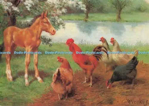 D296316 Cock O the Walk. William Weekes. Williams. The Medici Society