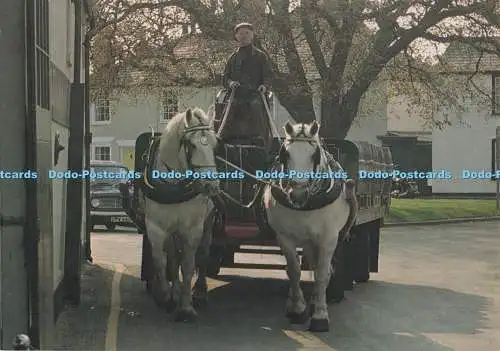 D296409 Brewers Dray in Southwold. J. Salmon. Sevenoaks. Kent
