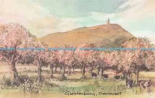 D299317 Somerset. Glastonbury. Kapelle St. Michael. Stadt- und Landdrucke. Davi