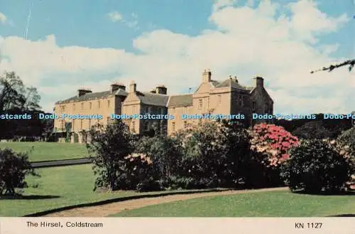 D299319 Coldstream. Der Hirsel. Kingsley. 1981