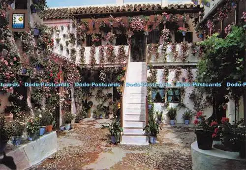 D296421 Costa del Sol. Ein andalusisch typischer Innenhof. Fisa. L. Dominguez