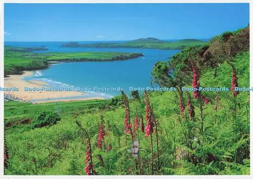 D299541 Whitesands Bay und Ramsey Island. Dave Newbould. Alpine Press