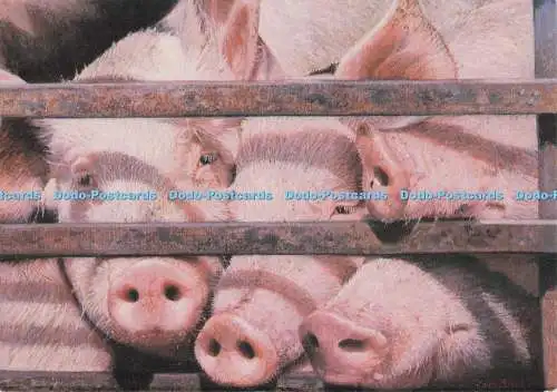 D299575 Mr. Rivett Pigs. Edna Bizon. Royal Academy of Arts. Die Leuchtfeuerpresse. 19