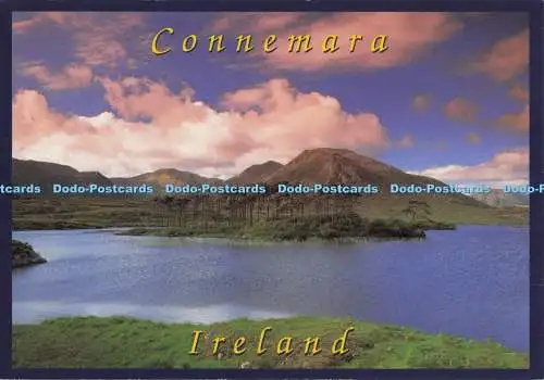 D299591 Irland. Connemara. John Hinde. Peter O Toole
