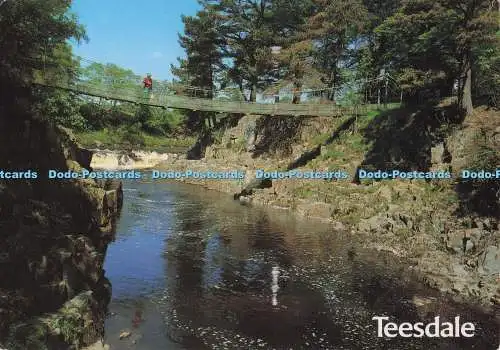 D299592 Teesdale. Wynch Bridge. J. Salmon. Sevenoaks. Kent. 1996