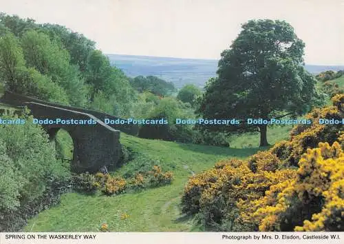D299603 Feder auf dem Waskerley Way. Durham County Federation Of Women Institute