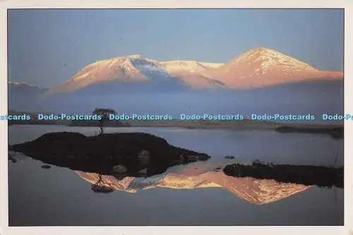 D299605 Sonnenaufgang am frühen Morgen im Rannoch Moor. Firtree. Nevisprint. J. F. McKenn